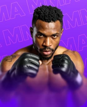 Sport MMA image